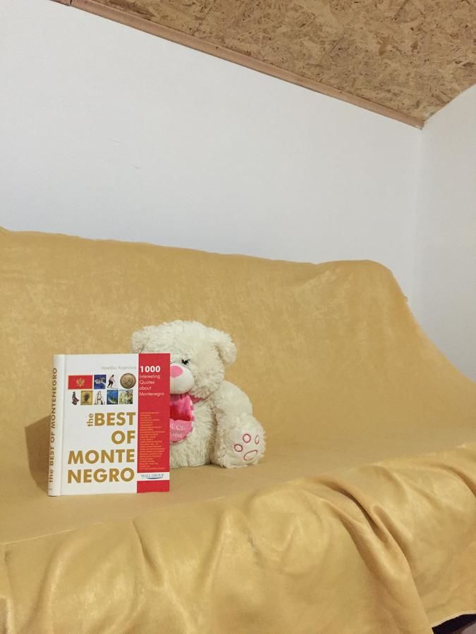 Дома для отпуска My house Aleksa Даниловград